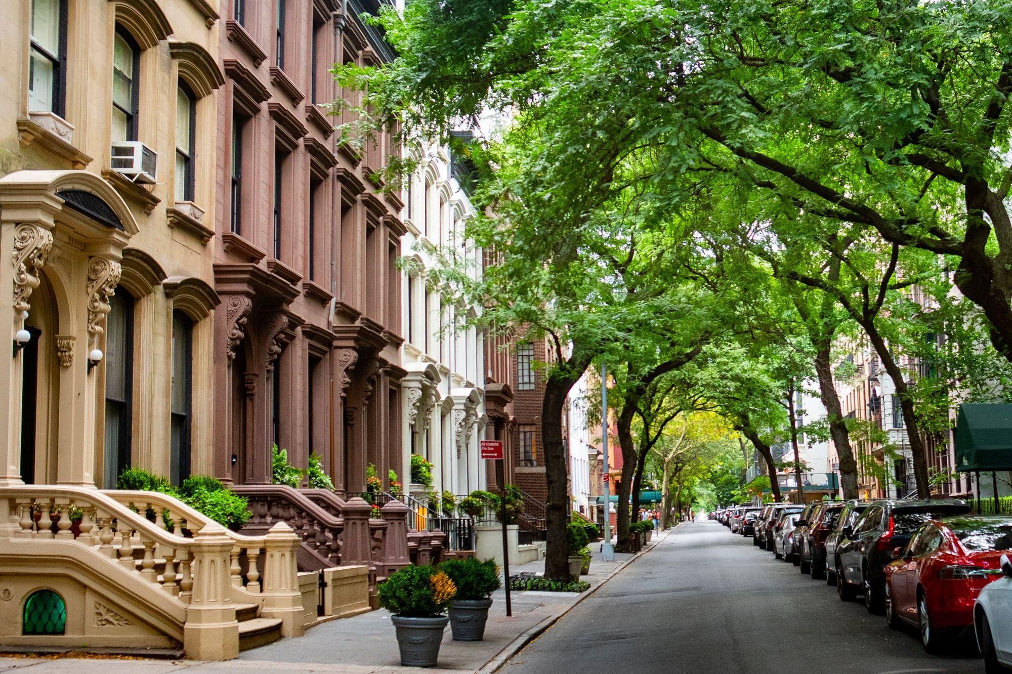 Attached brownstone rowhouses with stoops on a tree-lined street
