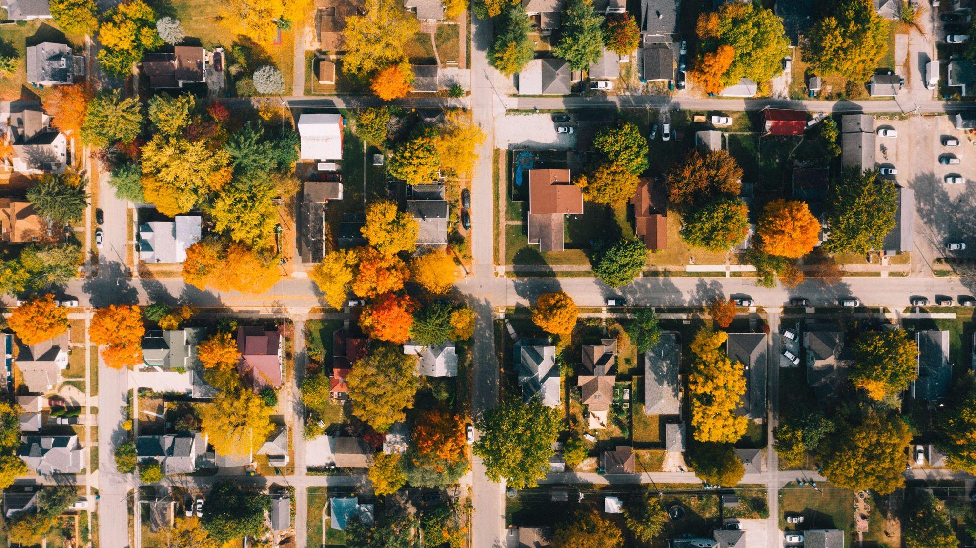 Top-down aerial view of a tree-lined residential street grid with houses in autumn