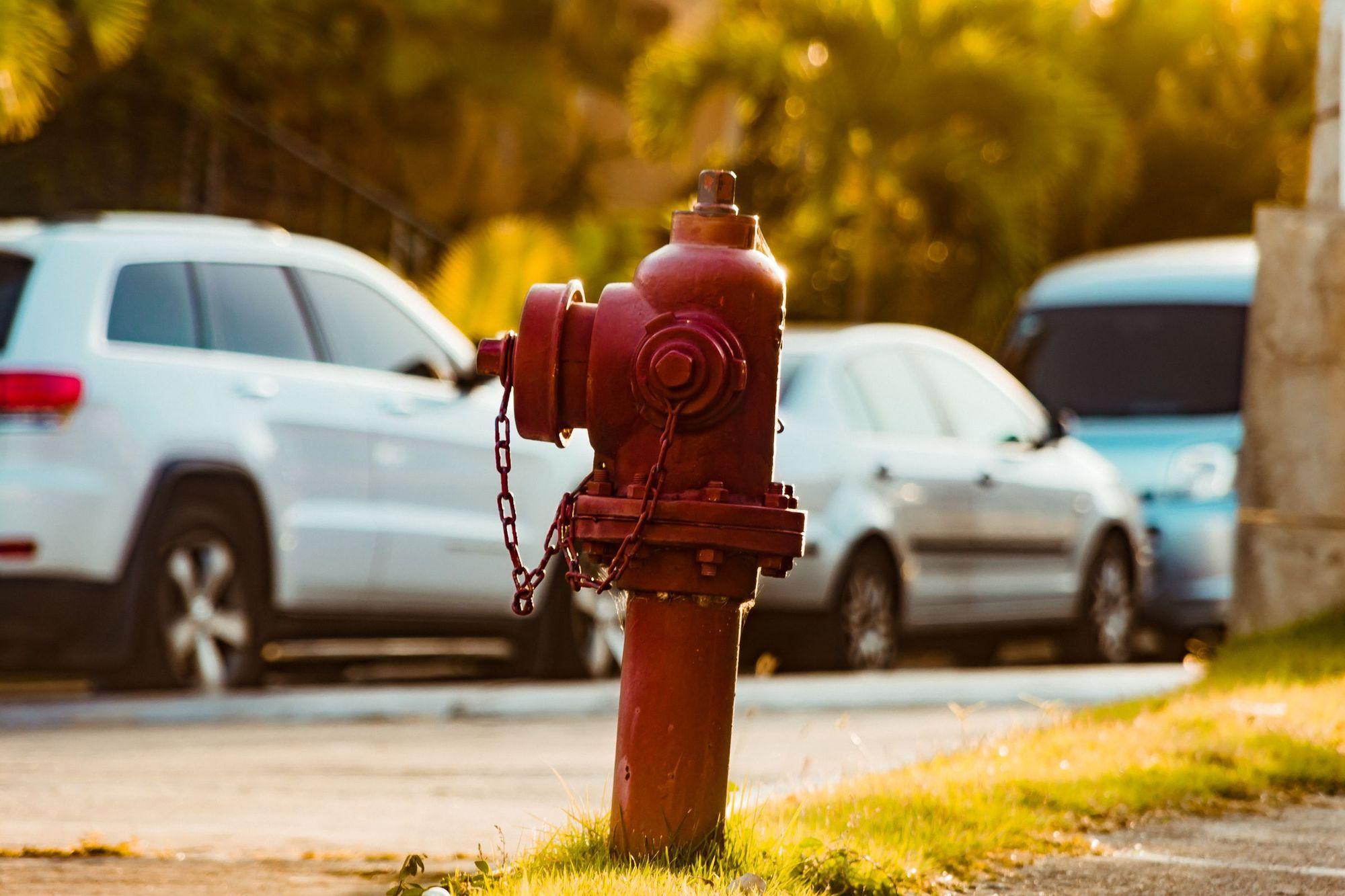 Red fire hydrant on a grassy curb strip with parked cars blurred behind it in warm sunlight