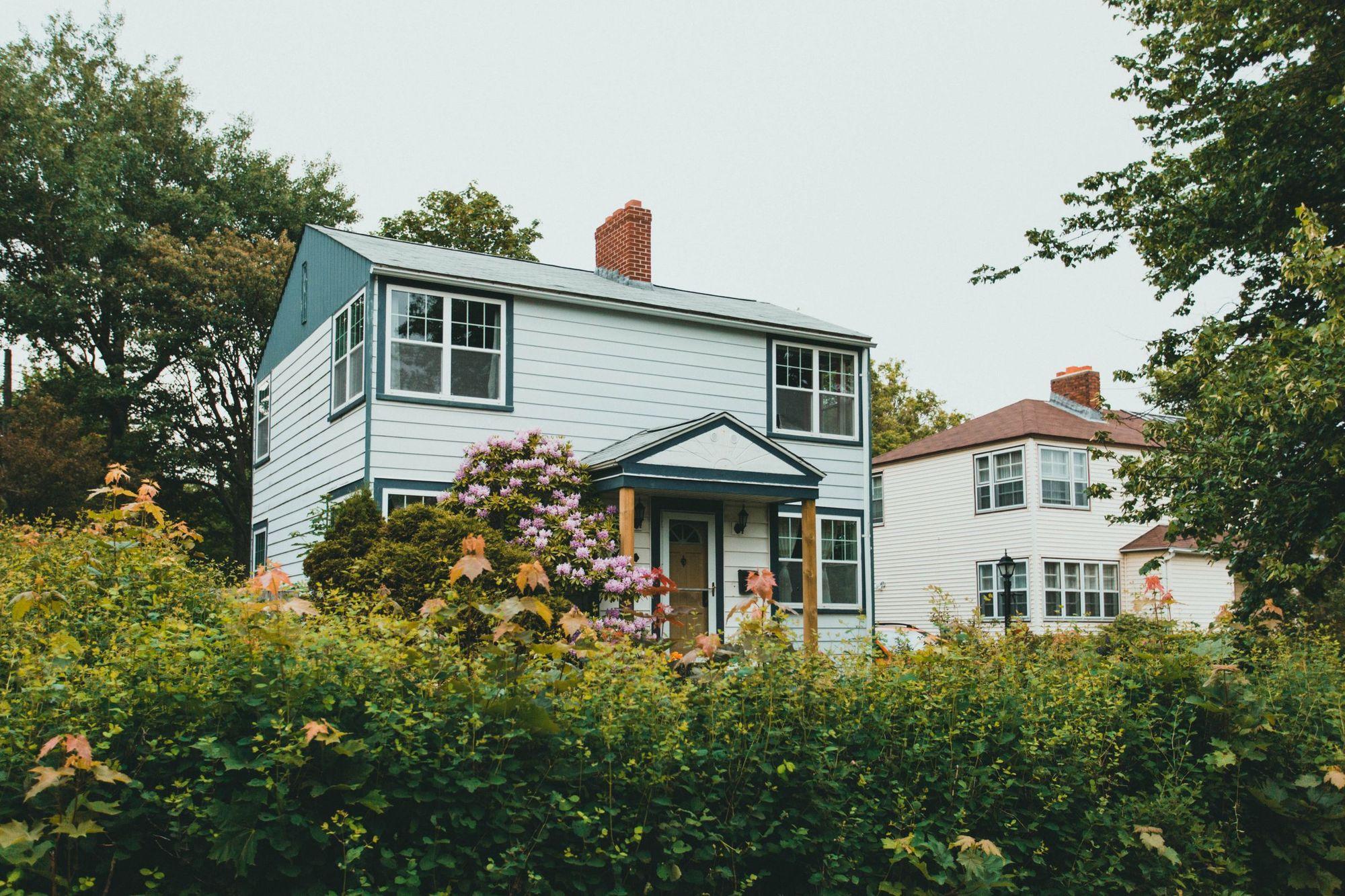 Modest two-story pale blue clapboard house behind overgrown shrubs under a gray overcast sky