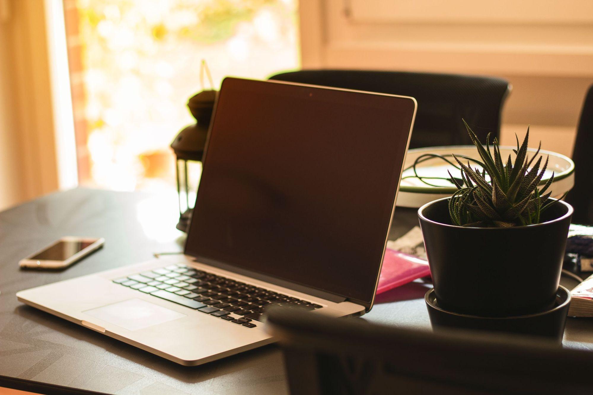 Laptop with a dark, switched-off screen on a desk beside a potted succulent and a lamp in warm daylight
